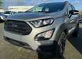 Ford EcoSport 1.0 EcoBoost 125 CV Start&Stop Active siva - thumbnail 7
