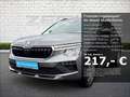 Skoda Kamiq 1.0 TSI DSG Selection Digitales Cockpit LED Sperrd Grijs - thumbnail 1