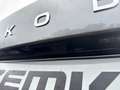 Skoda Kamiq 1.0 TSI DSG Selection Digitales Cockpit LED Sperrd Grijs - thumbnail 23