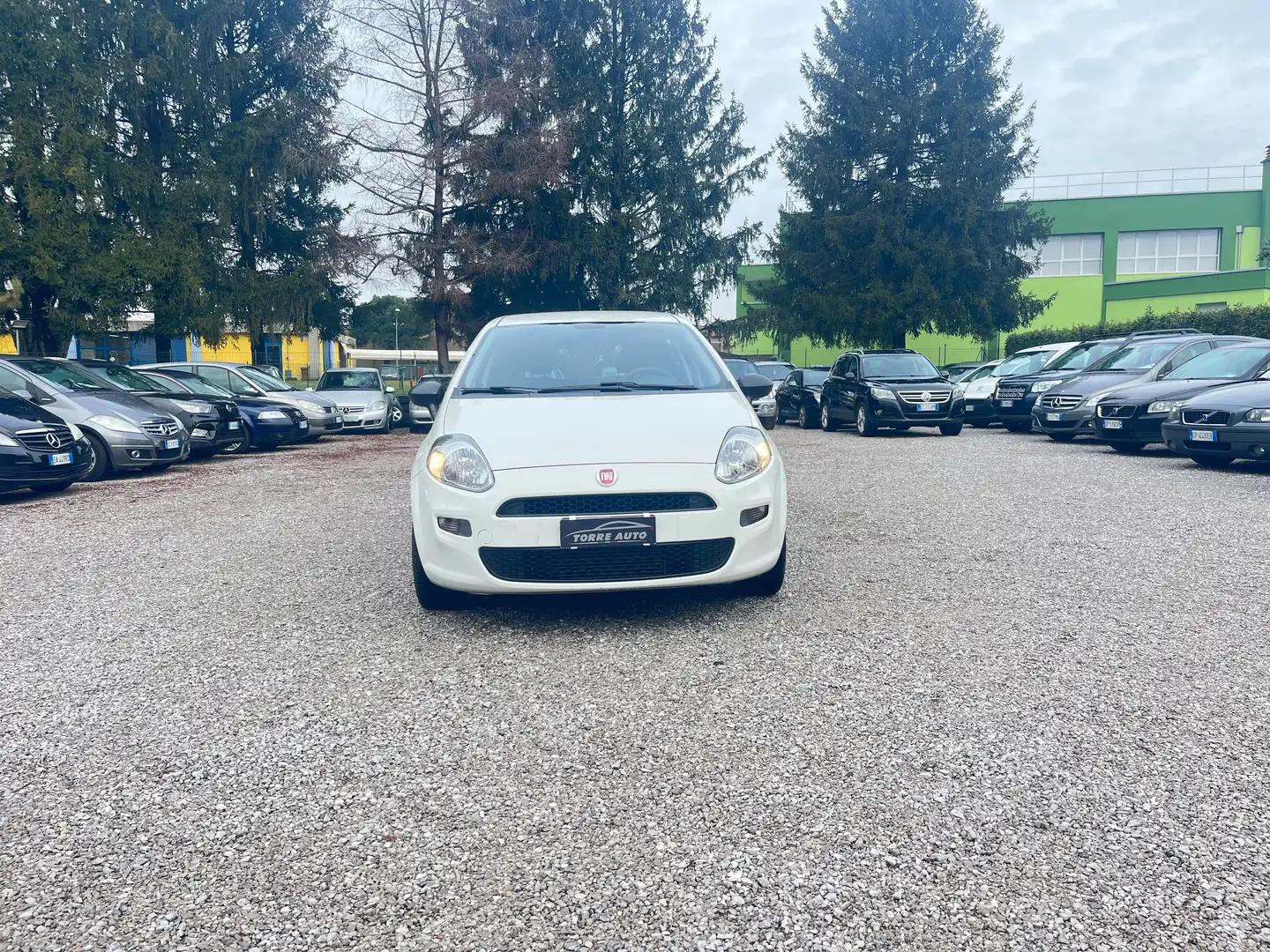 Fiat Punto Punto 5p 1.3 mjt Street s Blanc - 2