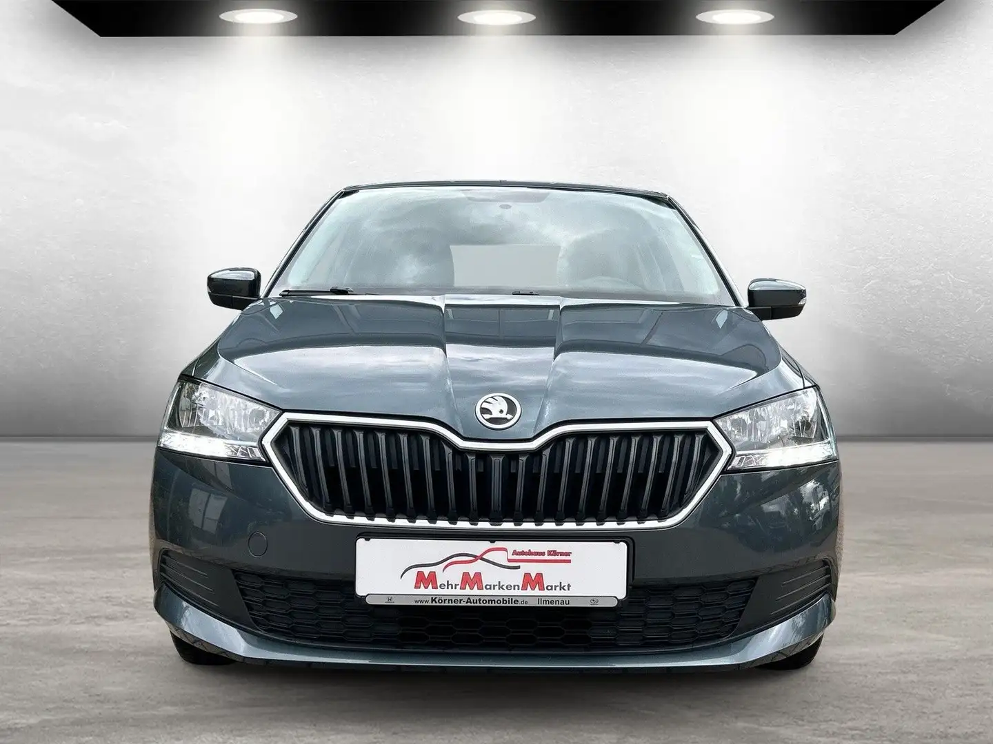 Skoda Fabia Active Grau - 2