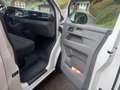 Volkswagen T6.1 Caravelle 4 motion Weiß - thumbnail 12