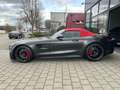 Mercedes-Benz AMG GT AMG GT-R  ROADSTER *1 of 750*NIGHT*DISTRO* Gris - thumbnail 8