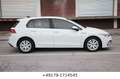Volkswagen Golf VIII Lim. 1ST EDITION ACC PDC SZH BC TOP Weiß - thumbnail 7