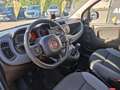 Fiat Panda 1.2 Lounge PROMO FINANZIAMENTO Gris - thumbnail 10