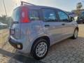 Fiat Panda 1.2 Lounge PROMO FINANZIAMENTO Gris - thumbnail 4