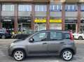 Fiat Panda Panda III 2021 1.0 firefly hybrid s Grigio - thumbnail 4