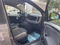 Fiat Panda Panda III 2021 1.0 firefly hybrid s Grigio - thumbnail 11