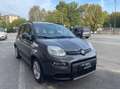 Fiat Panda Panda III 2021 1.0 firefly hybrid s Grigio - thumbnail 2