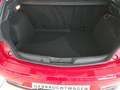 Alfa Romeo Giulietta Super 1,6 JTDM-2 - Zahnriemen NEU Rouge - thumbnail 12