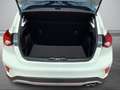 Ford Focus Active 1.0 EcoBoost Navi LED Apple CarPlay Android Wit - thumbnail 7