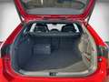 Volkswagen Passat Variant R-Line 1.5 e-Hybrid UPE82 AHK Pano Area Sonderleas Rot - thumbnail 14
