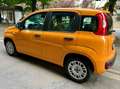 Fiat Panda Panda 1.0 firefly hybrid 5 posto Oranje - thumbnail 3