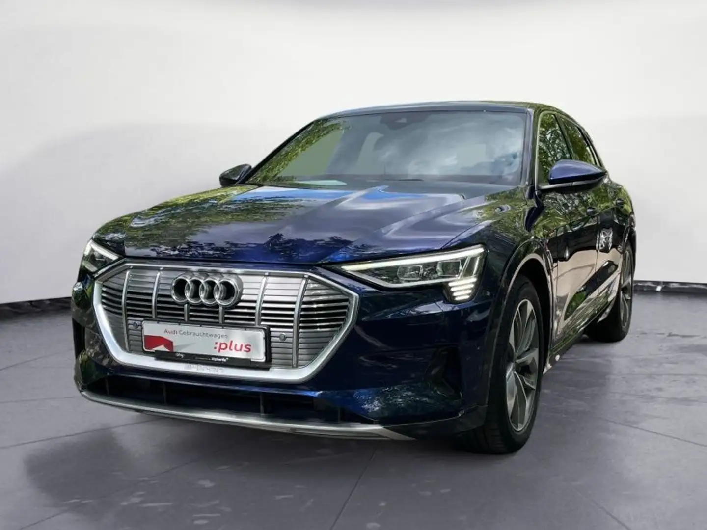 Audi e-tron 50 quattro S-Line Matrix/ACC/Navi/Connect Blau - 2