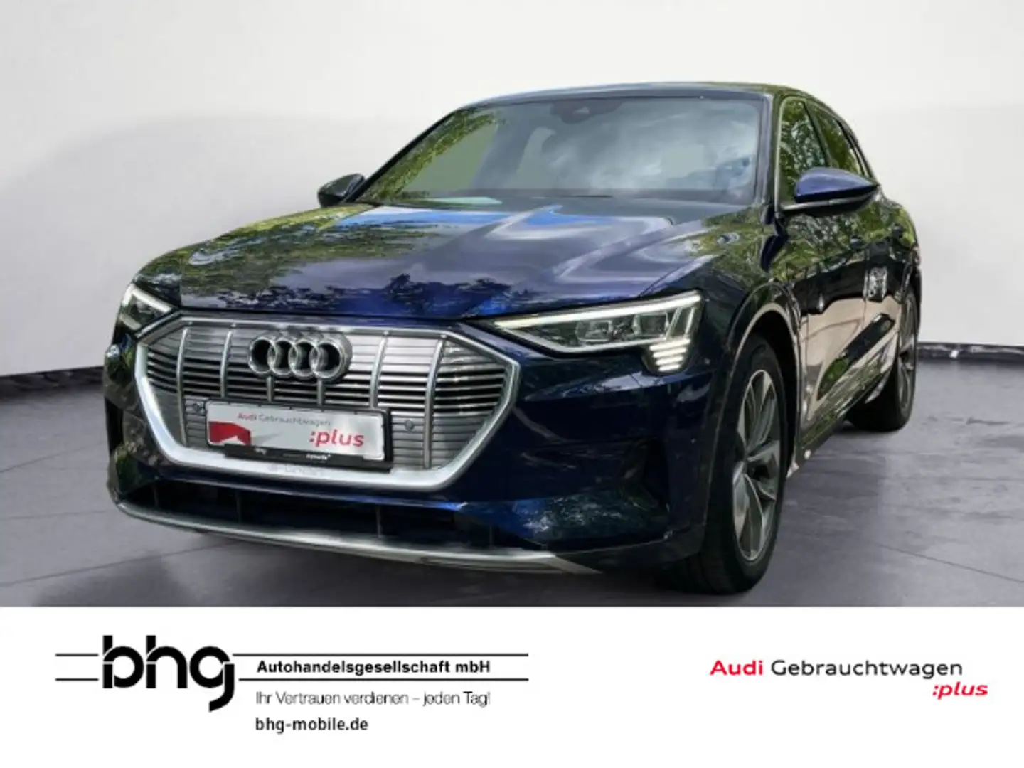 Audi e-tron 50 quattro S-Line Matrix/ACC/Navi/Connect Blau - 1