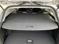 Ford Focus Wagon 1.0 EcoBoost Hybrid Titanium X Voorraad | Fo Grijs - thumbnail 12