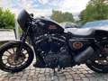 Harley-Davidson Sportster XL 883 Custom - Einzelstück Чорний - thumbnail 3