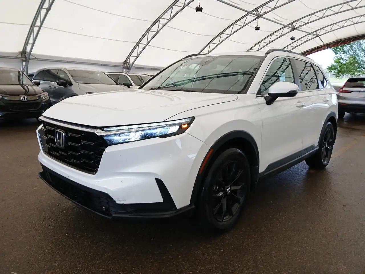 2022 Lexus NX