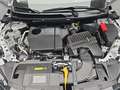 Nissan Qashqai QASHQAI 1.5 VC-T E-POWER AUTO. N-CONNECTA WINTER K Bianco - thumbnail 16