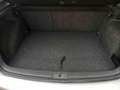 Volkswagen Golf 2.0 16V TDI 4mot. 5p. Sportline 4x4 Grigio - thumbnail 22