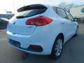 Kia Ceed / cee'd FIFA World Cup Edition Weiß - thumbnail 5
