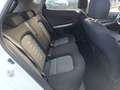 Kia Ceed / cee'd FIFA World Cup Edition Weiß - thumbnail 13