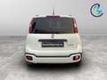 Fiat Panda 1.0 FireFly Hybrid Wit - thumbnail 3