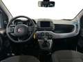 Fiat Panda 1.0 FireFly Hybrid Blanco - thumbnail 11