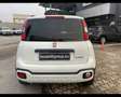 Fiat Panda 1.0 FireFly Hybrid Wit - thumbnail 24