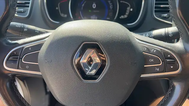 Renault Scenic view 13