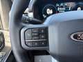 Ford F 150 Supercrew LARIAT Black Package V8 5.0L FLEXFUEL Gris - thumbnail 15