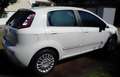 Fiat Punto Punto 1,2 69 Easy Easy Weiß - thumbnail 3