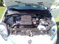 Fiat Punto Punto 1,2 69 Easy Easy Weiß - thumbnail 6