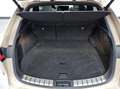 Lexus NX 450h+ AWD Overtrail Line / Premium Pack / Pano Beige - thumbnail 33