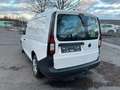 Volkswagen Caddy Cargo Basis Maxi*TüvNEU*NEUWAGENZUSTAND* Blanco - thumbnail 3