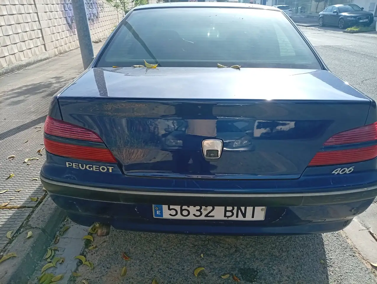Peugeot 406 2.2HDI SV 136, foto 3