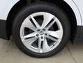 Skoda Enyaq 60 Blanc - thumbnail 5