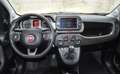 Fiat Panda Cross 0.9 Twin Air Turbo 4x4 Blu/Azzurro - thumbnail 11