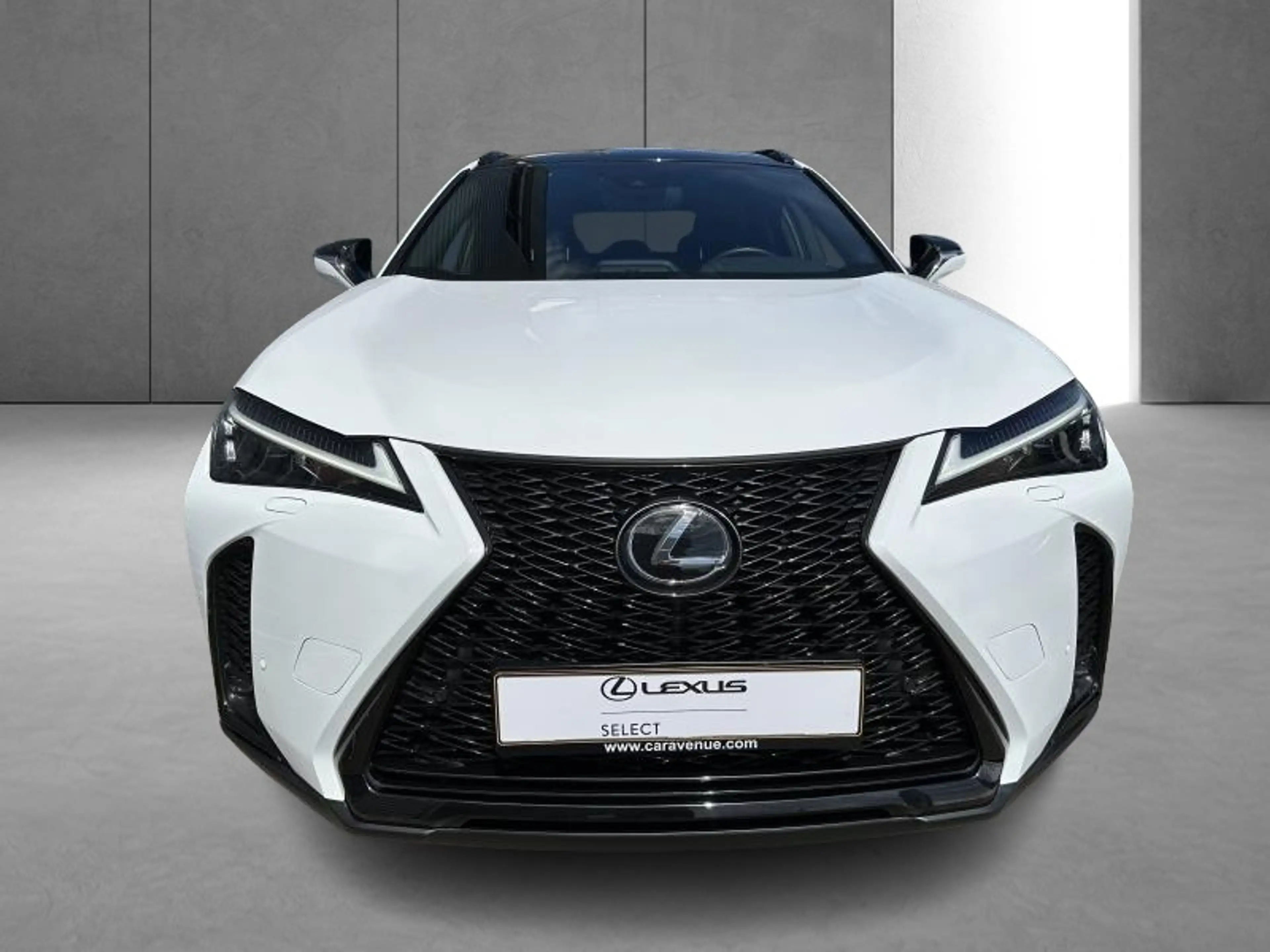 Lexus UX 250h F SPORT Design — photo 6