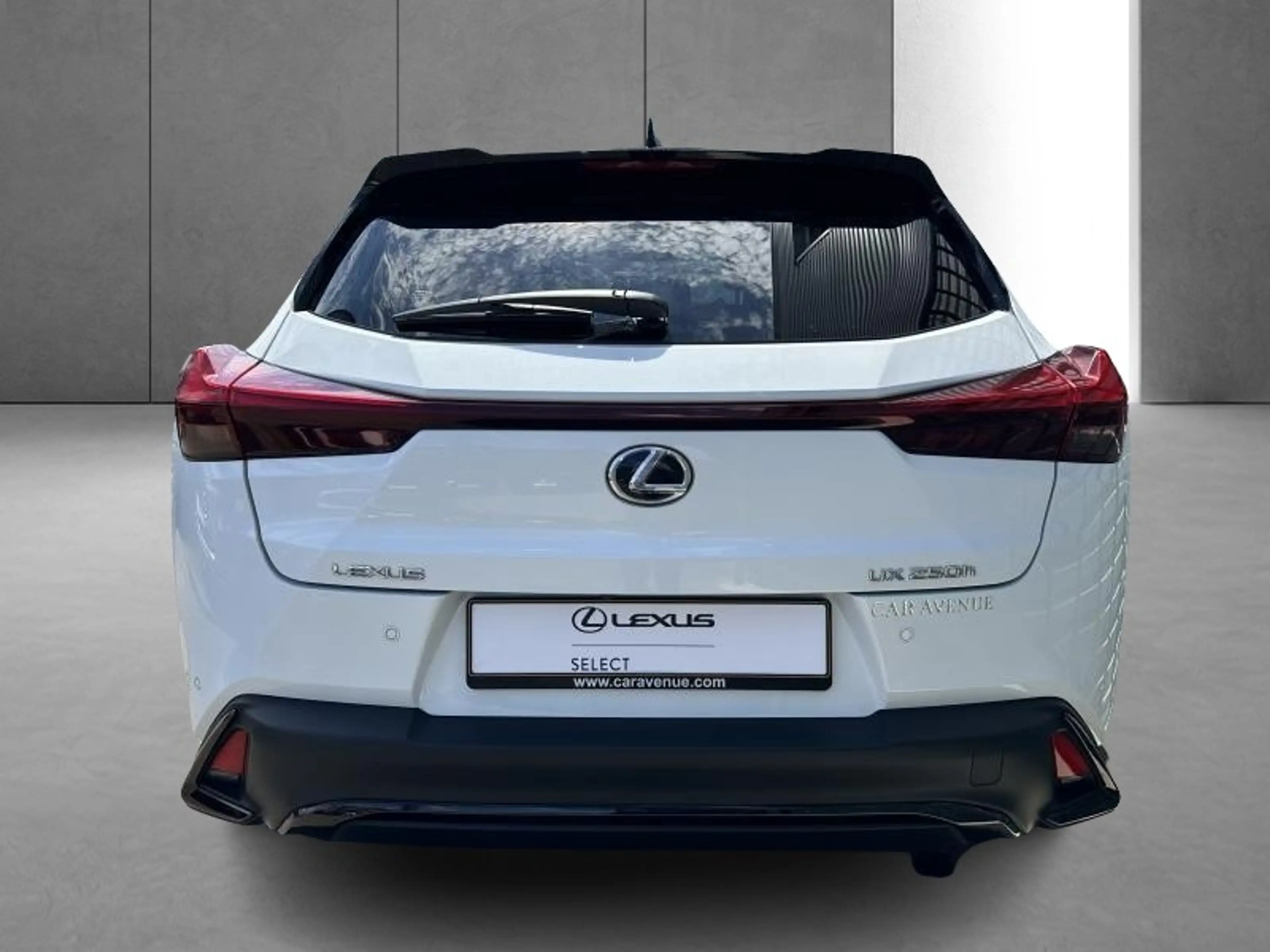 Lexus UX 250h F SPORT Design — photo 9