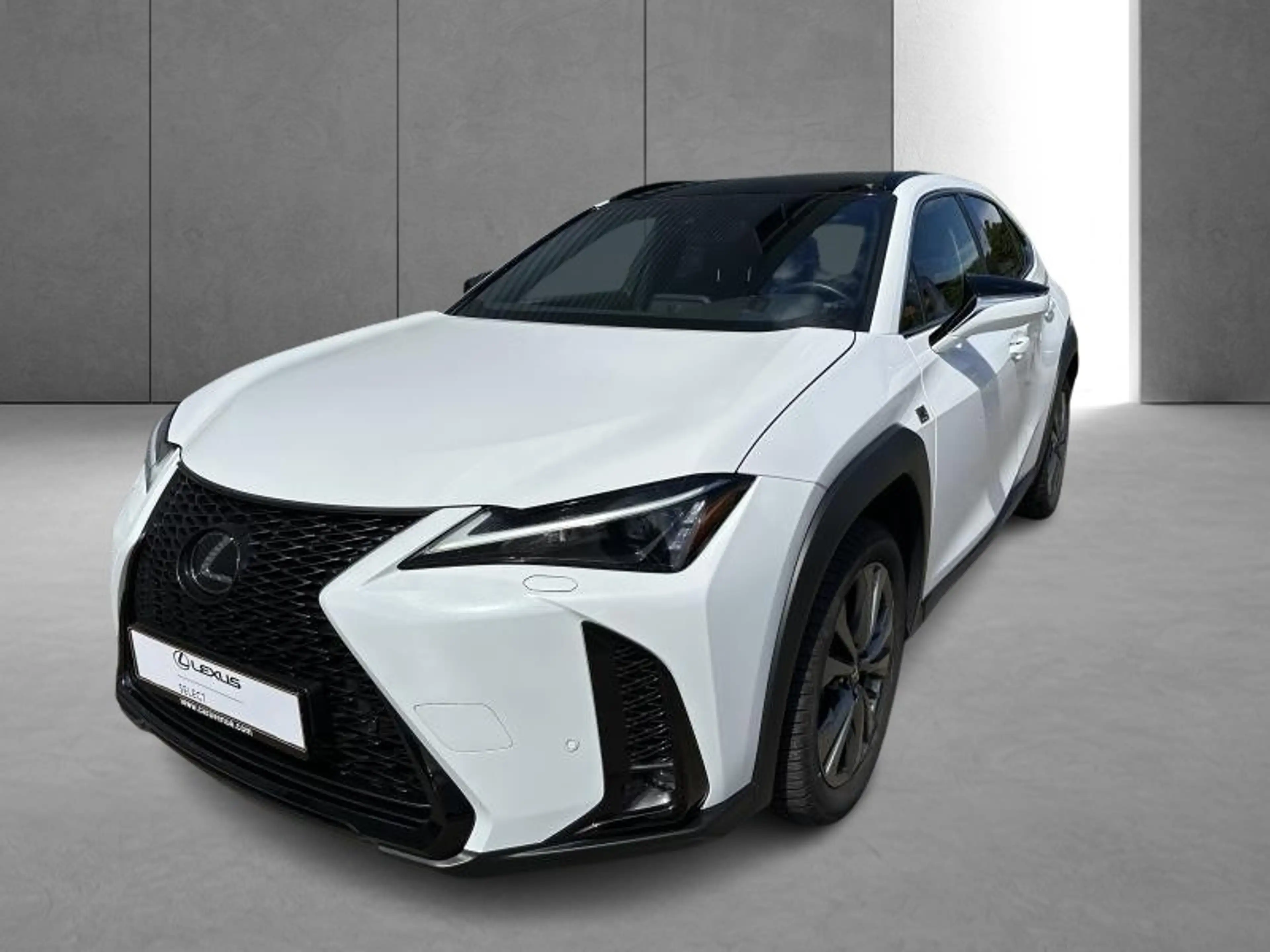 Lexus UX 250h F SPORT Design — photo 3