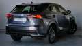 Lexus NX 300h 2.5 VVT-i 197 CV Hybrid 2WD Pack Business - thumbnail 3