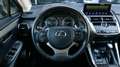 Lexus NX 300h 2.5 VVT-i 197 CV Hybrid 2WD Pack Business - thumbnail 14