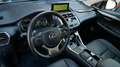 Lexus NX 300h 2.5 VVT-i 197 CV Hybrid 2WD Pack Business - thumbnail 12