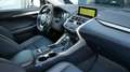 Lexus NX 300h 2.5 VVT-i 197 CV Hybrid 2WD Pack Business - thumbnail 7