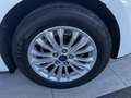 Ford Focus 1.5Ecoblue Titanium 120 Blanc - thumbnail 11