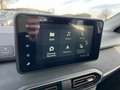 Dacia Sandero Stepway TCe 100 ECO-G Extreme+ SHZ+Navi+Klimaauto Weiß - thumbnail 11