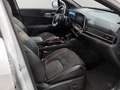 Kia Sportage Sportage 1.6 tgdi hev GT-line auto Bianco - thumbnail 14