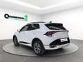 Kia Sportage Sportage 1.6 tgdi hev GT-line auto Bianco - thumbnail 5