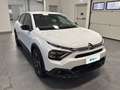 Citroen C4 100 kW 136CV Electric Plus Bianco - thumbnail 5